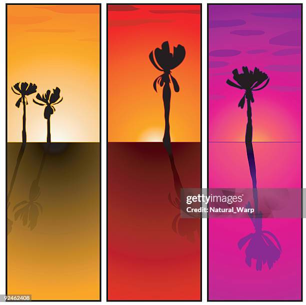 sunset tablets - florida sunset stock illustrations