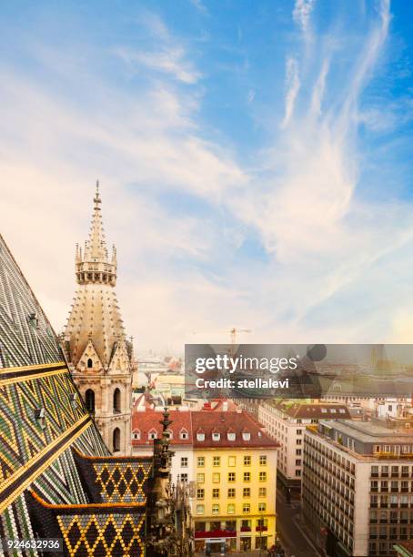 st. stephen katedral i wien, österrike - österrikisk kultur bildbanksfoton och bilder