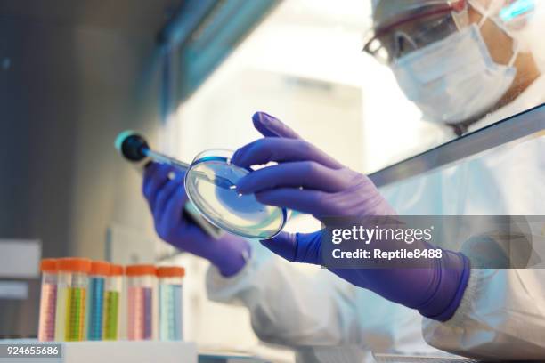 scientist working in a cleanroom - instrumento para diagnóstico imagens e fotografias de stock