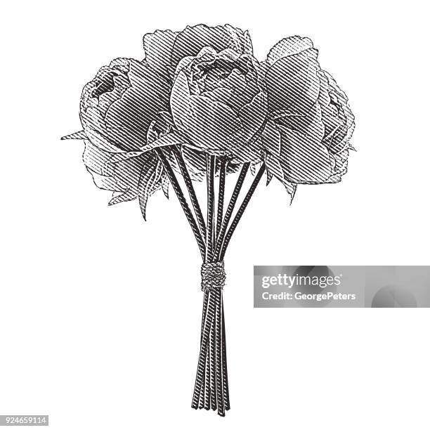 illustrations, cliparts, dessins animés et icônes de gravure d’un bouquet de pivoines - papier gratté