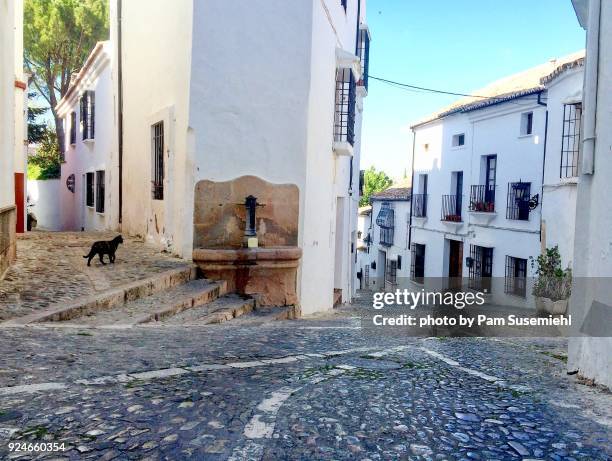black cat & fountain on empty street, ronda, spain - renda stock-fotos und bilder