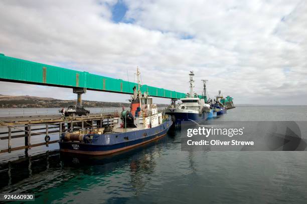 fishing boats port lincoln - lincoln harbor stock pictures, royalty-free photos & images