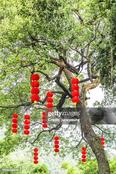 red lanterns - chinese new year decoration stock pictures, royalty-free photos & images