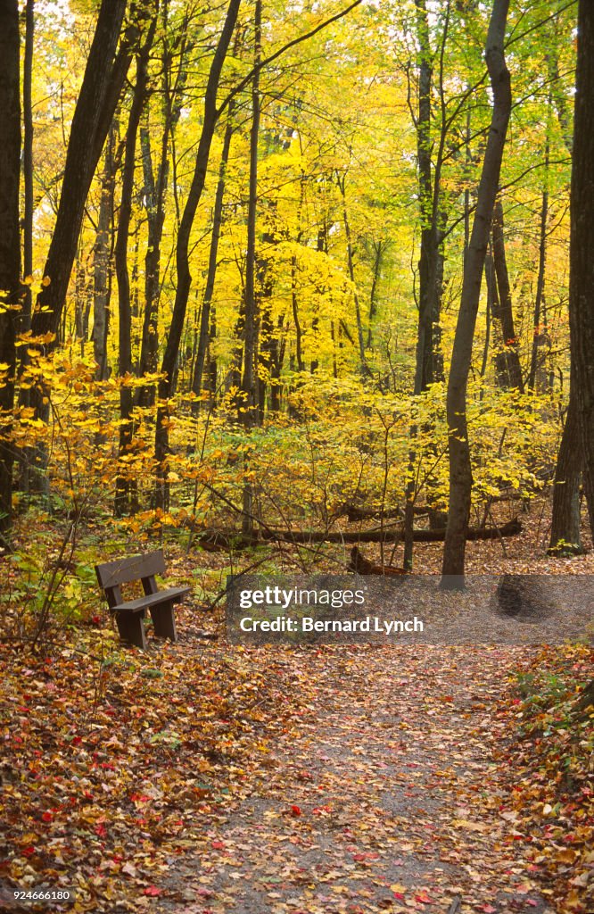 Woodland respite