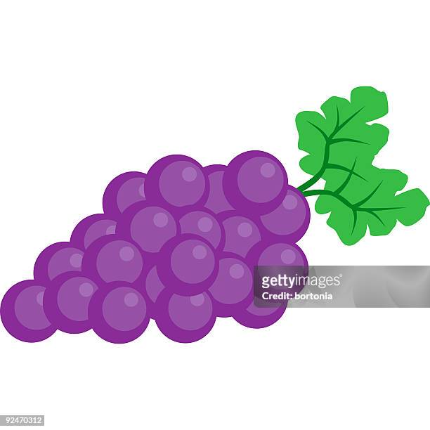 501 Cartoon Grapes Photos and Premium High Res Pictures - Getty Images
