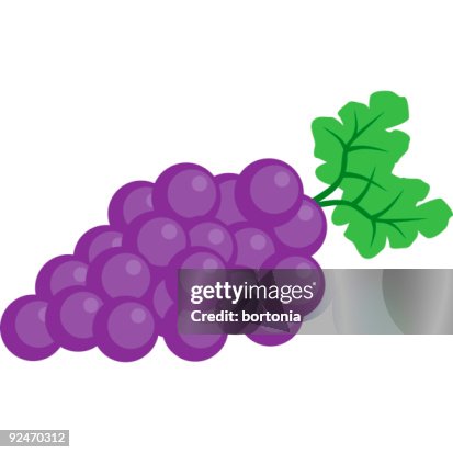 Fruit-Grapes Fruit-Grapes