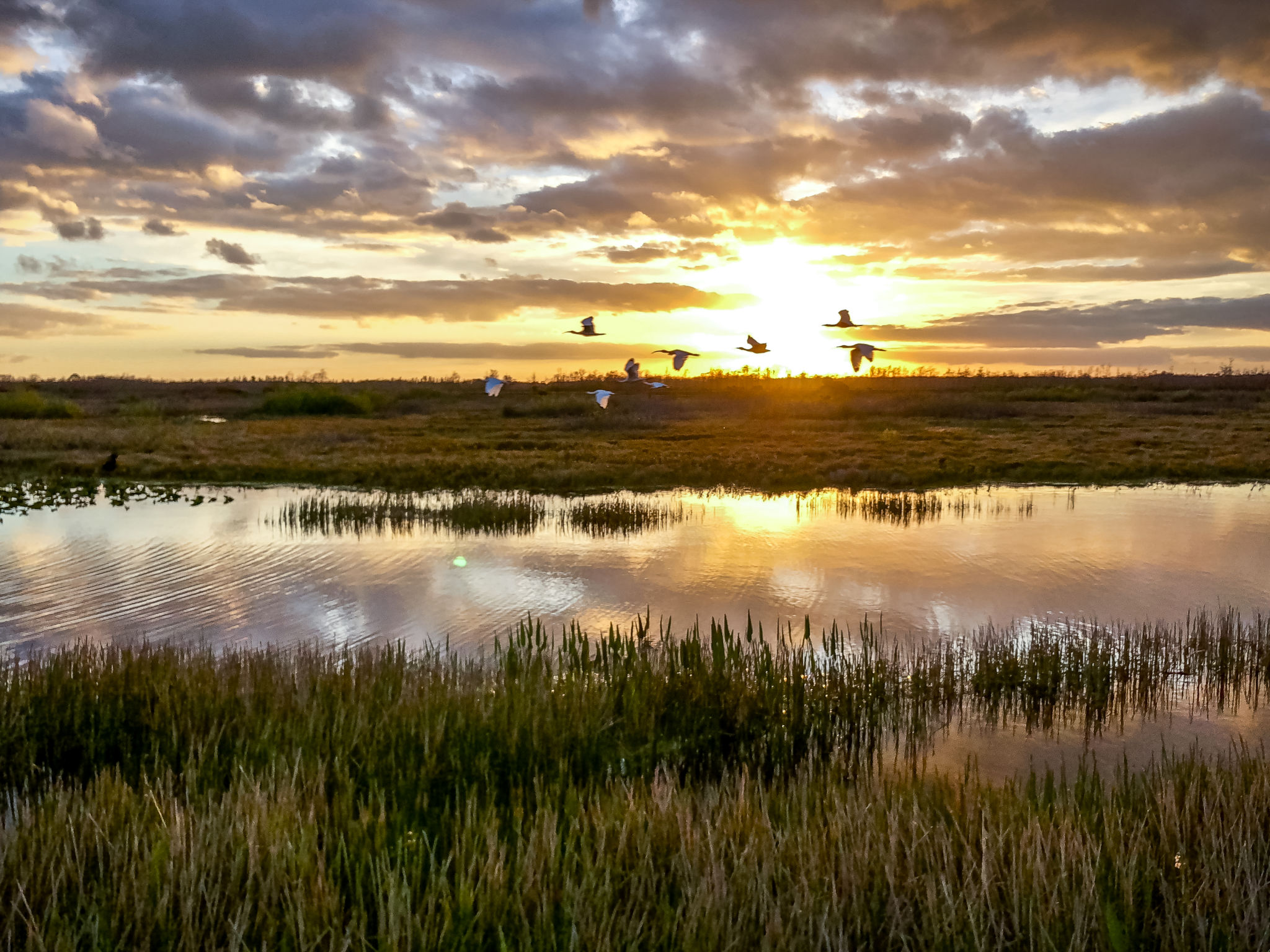 Louisiana landscape