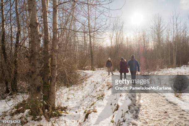 雪に覆われた荒野公園で日当たりの良い冬の散歩を楽しむ家族 - lane sisters ストックフォトと画像