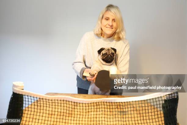 mature adult lady and dog playing table tennis - funny ping pong stock pictures, royalty-free photos & images