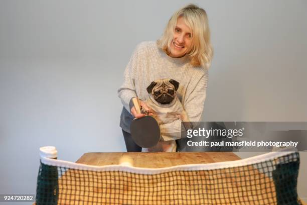 mature adult lady and dog playing table tennis - funny ping pong stock pictures, royalty-free photos & images