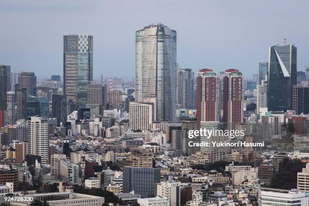 tokyo skyline at dusk - 六本木ヒルズ ストックフォトと画像