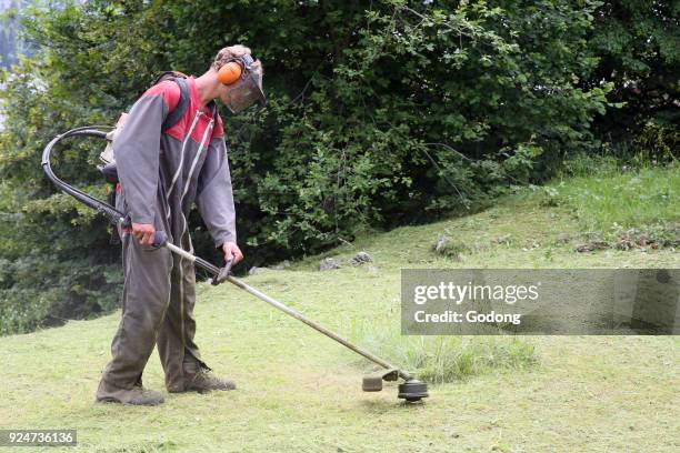 Gardner cutting grass. France. .