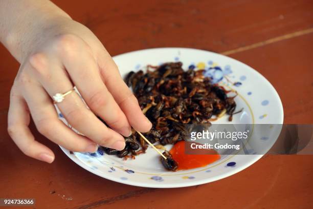 Edible insects. Crickets in plate. Dalat. Vietnam. .