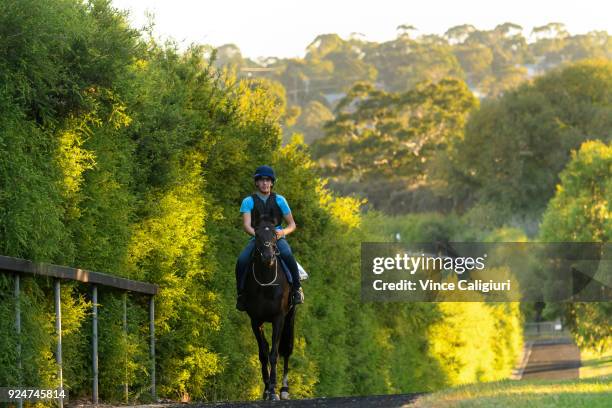 Japanese horse Ambitious is seen during a trackwork session at Pinecliff training facility on February 27, 2018 in Mount Eliza, Australia. The...