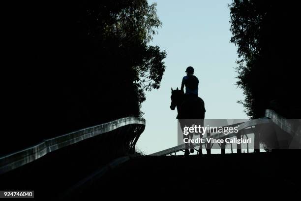 Japanese horse Ambitious ridden by Richard O'Donoghue is seen during a trackwork session at Pinecliff training facility on February 27, 2018 in Mount...