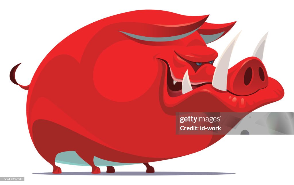 Jabalí rojo de angry