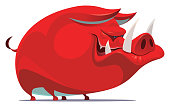 red angry boar
