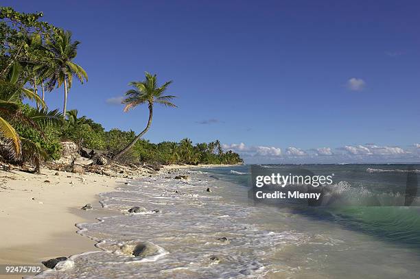 sonnigen strand auf cocos island - cocos island stock-fotos und bilder