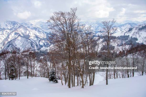 snow mountain of japan - hakuba fotografías e imágenes de stock