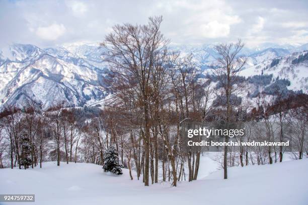 snow mountain of japan - senjojiki cirque stock pictures, royalty-free photos & images