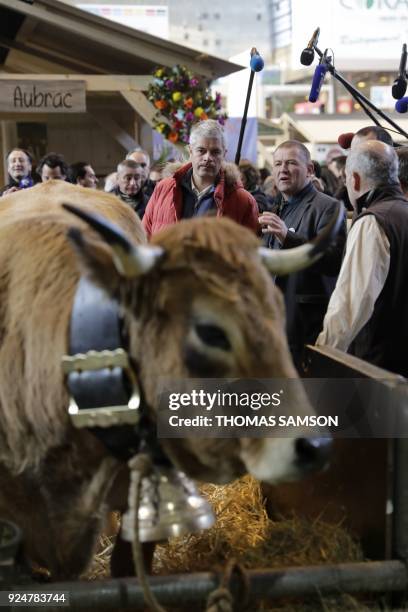 Head of France's rightwing Republicans opposition party Laurent Wauquiez looks at Haute, a 6-year-old Aubrac breed cow and the mascot for the 2018...