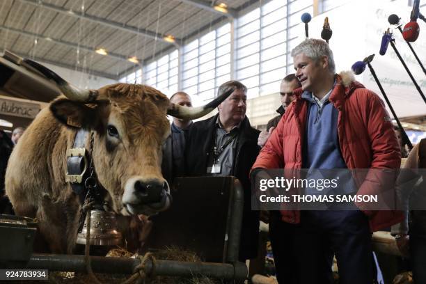 Head of France's rightwing Republicans opposition party Laurent Wauquiez looks at Haute, a 6-year-old Aubrac breed cow and the mascot for the 2018...