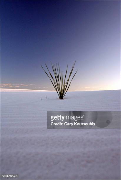 sunset at white sands - alamogordo stock pictures, royalty-free photos & images