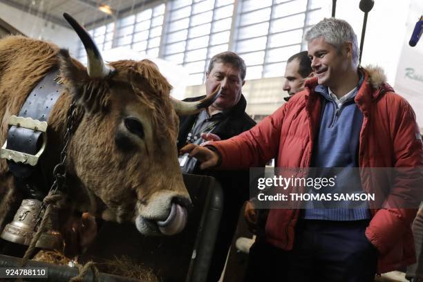 Head of France's rightwing Republicans opposition party Laurent Wauquiez pets Haute, a 6-year-old Aubrac breed cow and the mascot for the 2018 Paris...