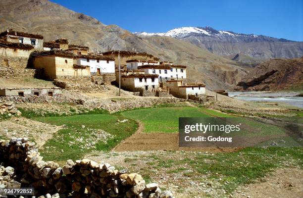 Sagnam village in Spiti kingdom. India.