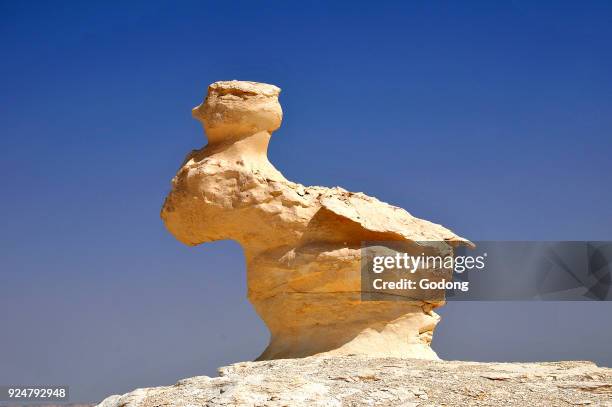 68 Assiout Stock Photos, HighRes Pictures, and Images Getty Images