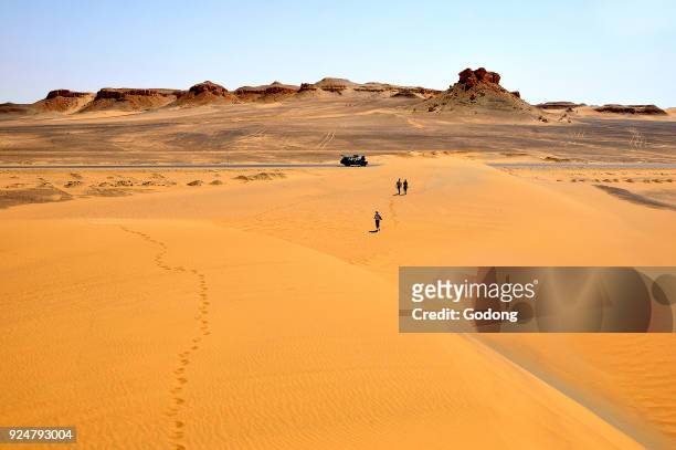 Lybian desert, Assiout province. Egypt.
