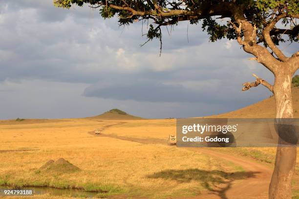 An off-road vehicle driving in the African savanna. Masai Mara game reserve. Kenya.