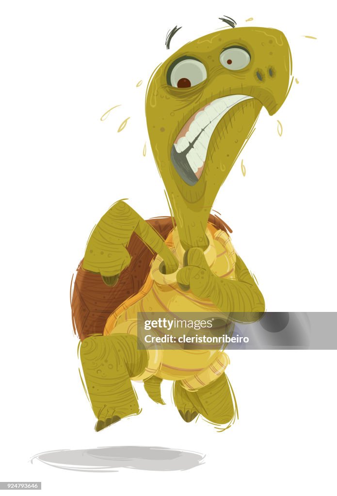 Sweating Turtle Running The Running Turtle High-Res Vector Graphic - Getty Images