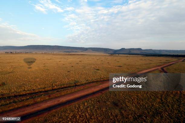 An early morning hot air balloon flight over the African savanna. Masai Mara game reserve. Kenya.