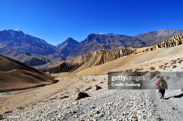 Trekker in Mustang. Nepal.