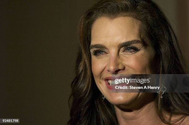 Actress Brooke Shields attends the 2009 Alzheimer's Association Rita Hayworth Gala at The Waldorf=Astoria on October 27, 2009 in New York City.