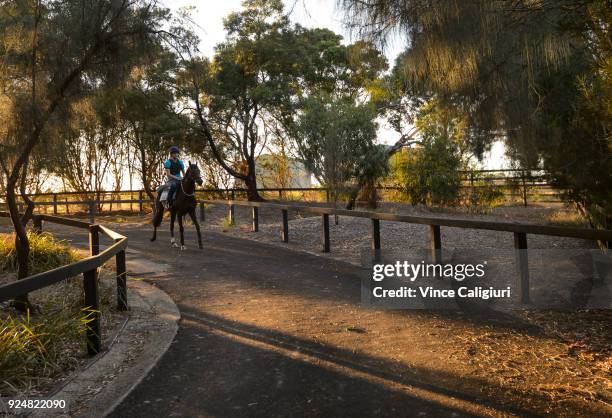 Japanese horse Ambitious ridden by Richard O'Donoghue is seen during a trackwork session at Pinecliff training facility on February 27, 2018 in Mount...