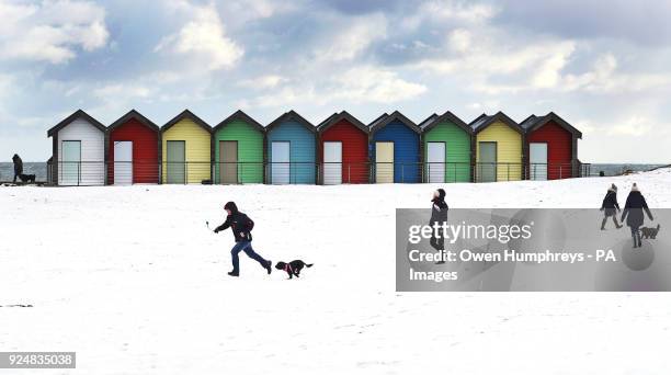 People walk their dogs on Blyth Beach in Northumberland, as heavy snowfall is affecting roads across the UK on Tuesday morning after several...