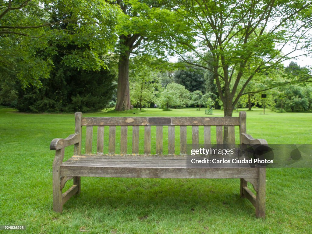 Empty wooden bench in a tranquil public park of London