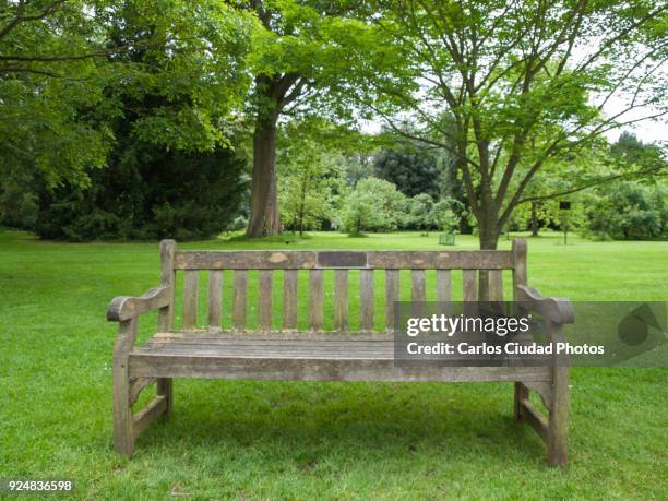 empty wooden bench in a tranquil public park of london - park bench stock pictures, royalty-free photos & images