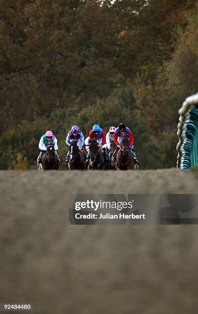 Richard Hughes has Fine Sight handily placed before landing The E.B.F. Barry Dennis All-Weather 20TH Anniversary Maiden Stakes Race run at Lingfield...