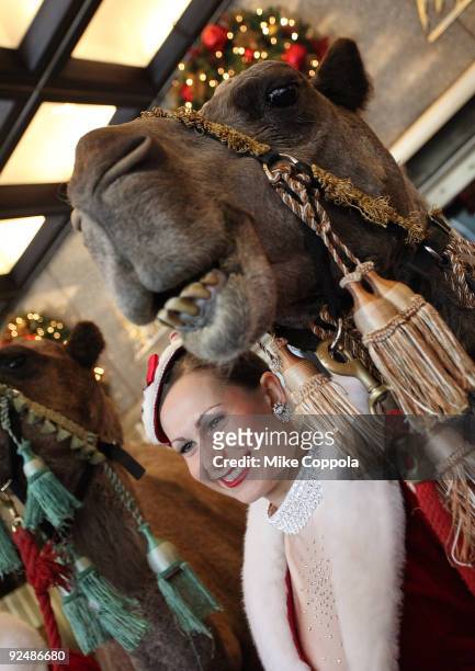 Sara the camel and Radio City Rockette Candice Jablonski promote The Radio City Christmas Spectacular at Radio City Music Hall on October 29, 2009 in...