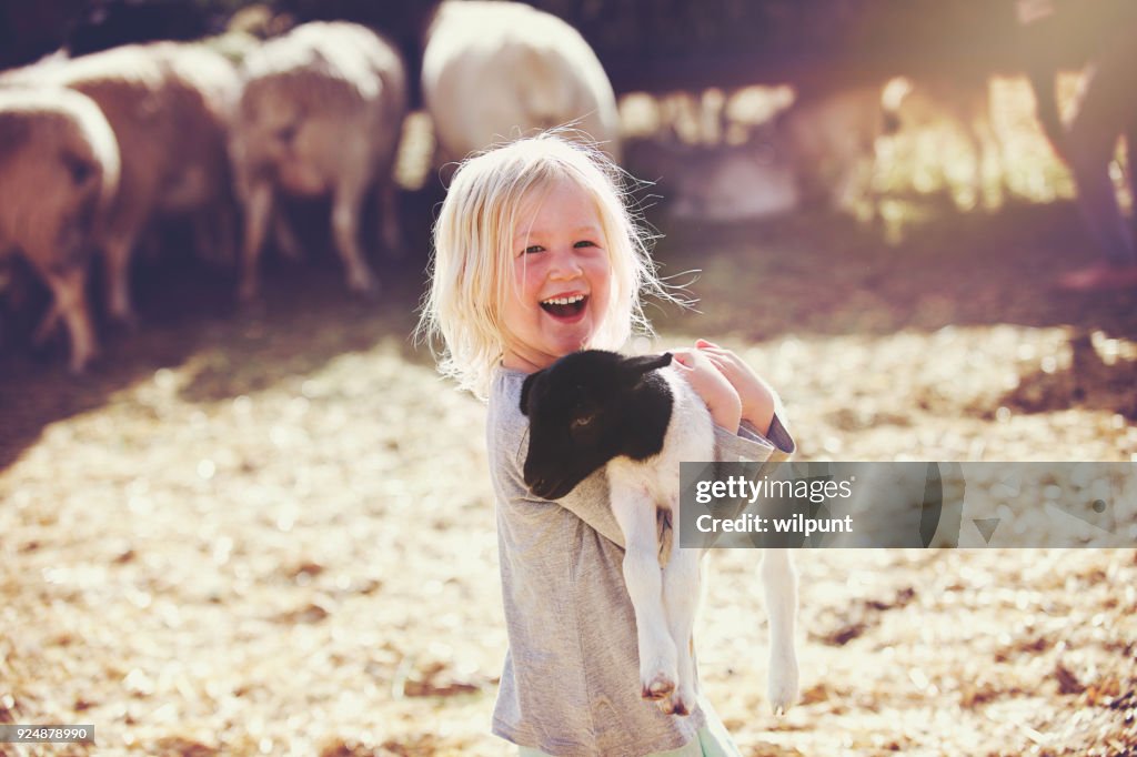 Gelukkig bedrijf lamb glimlachend meisje opzij