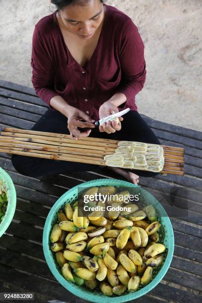 Khmer woman making dried bananas in Battambang province. Battambang. Cambodia.