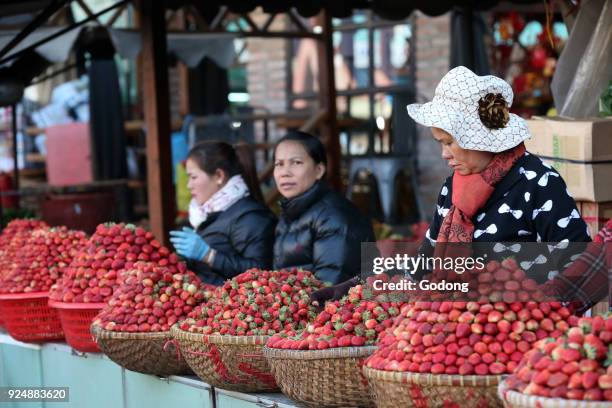 Women selling fresh strawberries at street market. Dalat. Vietnam.