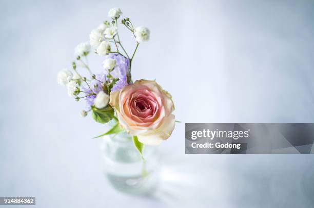 Flowers in a vase. France.