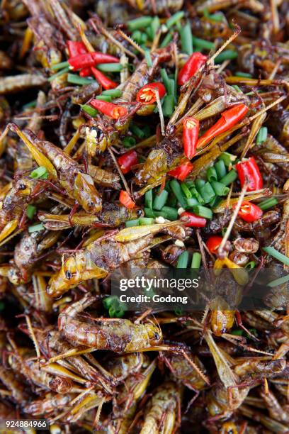 Insects displayed at a Battambang market. Cambodia.