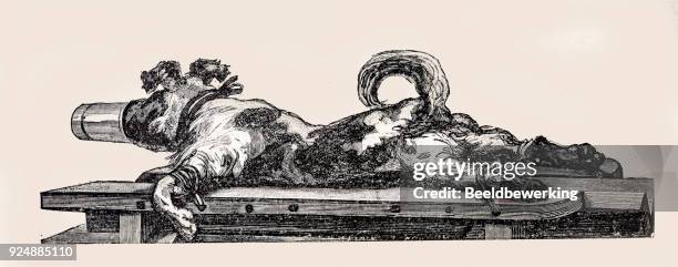engraving pasteur animal testing in 1890 - animal testing stock illustrations