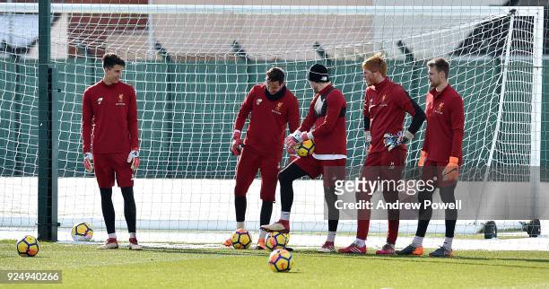 Kamil Grabara, Adam Bogdan, Danny Ward, Simon Mignolet and Loris Karius of Liverpool during a training session at Melwood Training Ground on February...