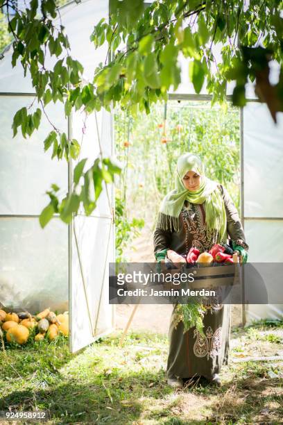 Woman working with vegetables in greenhouse